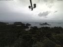 ./images/calvert/lookout/20210617/lookout20210617_100501.jpg