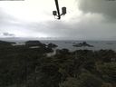 ./images/calvert/lookout/20210617/lookout20210617_102501.jpg