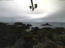 ./images/calvert/lookout/20210617/lookout20210617_104502.jpg
