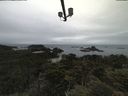 ./images/calvert/lookout/20210617/lookout20210617_105002.jpg
