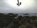 ./images/calvert/lookout/20210617/lookout20210617_111002.jpg
