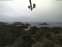 ./images/calvert/lookout/20210617/lookout20210617_111502.jpg