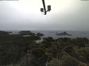 ./images/calvert/lookout/20210617/lookout20210617_112001.jpg