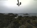 ./images/calvert/lookout/20210617/lookout20210617_112501.jpg