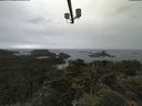 ./images/calvert/lookout/20210617/lookout20210617_113501.jpg