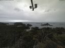 ./images/calvert/lookout/20210617/lookout20210617_114001.jpg