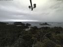 ./images/calvert/lookout/20210617/lookout20210617_114501.jpg