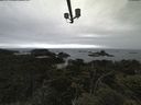 ./images/calvert/lookout/20210617/lookout20210617_115001.jpg