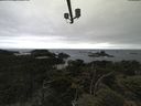 ./images/calvert/lookout/20210617/lookout20210617_121501.jpg