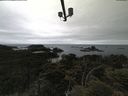 ./images/calvert/lookout/20210617/lookout20210617_122001.jpg