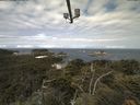./images/calvert/lookout/20210618/lookout20210618_101002.jpg