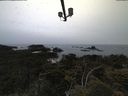 ./images/calvert/lookout/20210618/lookout20210618_214001.jpg
