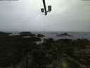 ./images/calvert/lookout/20210619/lookout20210619_044502.jpg