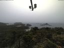 ./images/calvert/lookout/20210619/lookout20210619_061001.jpg