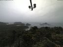 ./images/calvert/lookout/20210619/lookout20210619_082002.jpg