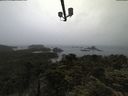 ./images/calvert/lookout/20210619/lookout20210619_083502.jpg