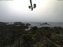 ./images/calvert/lookout/20210619/lookout20210619_085502.jpg