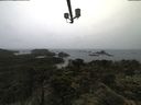 ./images/calvert/lookout/20210619/lookout20210619_091501.jpg