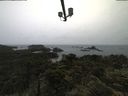 ./images/calvert/lookout/20210619/lookout20210619_092001.jpg