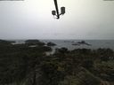 ./images/calvert/lookout/20210619/lookout20210619_092501.jpg