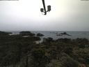 ./images/calvert/lookout/20210619/lookout20210619_093501.jpg
