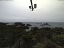 ./images/calvert/lookout/20210619/lookout20210619_094501.jpg