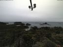 ./images/calvert/lookout/20210619/lookout20210619_095501.jpg
