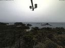 ./images/calvert/lookout/20210619/lookout20210619_100002.jpg