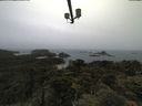 ./images/calvert/lookout/20210619/lookout20210619_100501.jpg