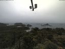 ./images/calvert/lookout/20210619/lookout20210619_102002.jpg