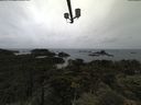 ./images/calvert/lookout/20210619/lookout20210619_111501.jpg