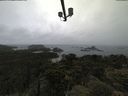 ./images/calvert/lookout/20210619/lookout20210619_112001.jpg