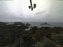 ./images/calvert/lookout/20210619/lookout20210619_112501.jpg