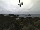 ./images/calvert/lookout/20210619/lookout20210619_114501.jpg