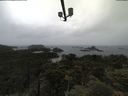 ./images/calvert/lookout/20210619/lookout20210619_120501.jpg