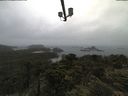 ./images/calvert/lookout/20210619/lookout20210619_123502.jpg