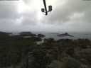 ./images/calvert/lookout/20210619/lookout20210619_134001.jpg