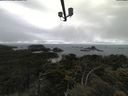 ./images/calvert/lookout/20210619/lookout20210619_175501.jpg