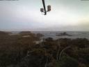 ./images/calvert/lookout/20210620/lookout20210620_045001.jpg