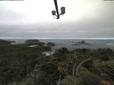 ./images/calvert/lookout/20210620/lookout20210620_090501.jpg
