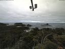 ./images/calvert/lookout/20210620/lookout20210620_101002.jpg