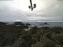 ./images/calvert/lookout/20210620/lookout20210620_101502.jpg