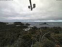 ./images/calvert/lookout/20210620/lookout20210620_102002.jpg
