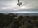 ./images/calvert/lookout/20210620/lookout20210620_104501.jpg