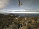 ./images/calvert/lookout/20210620/lookout20210620_110501.jpg