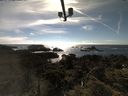 ./images/calvert/lookout/20210620/lookout20210620_172502.jpg