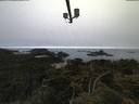 ./images/calvert/lookout/20210621/lookout20210621_045001.jpg