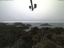 ./images/calvert/lookout/20210621/lookout20210621_051501.jpg