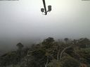 ./images/calvert/lookout/20210621/lookout20210621_064501.jpg
