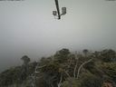 ./images/calvert/lookout/20210621/lookout20210621_100002.jpg